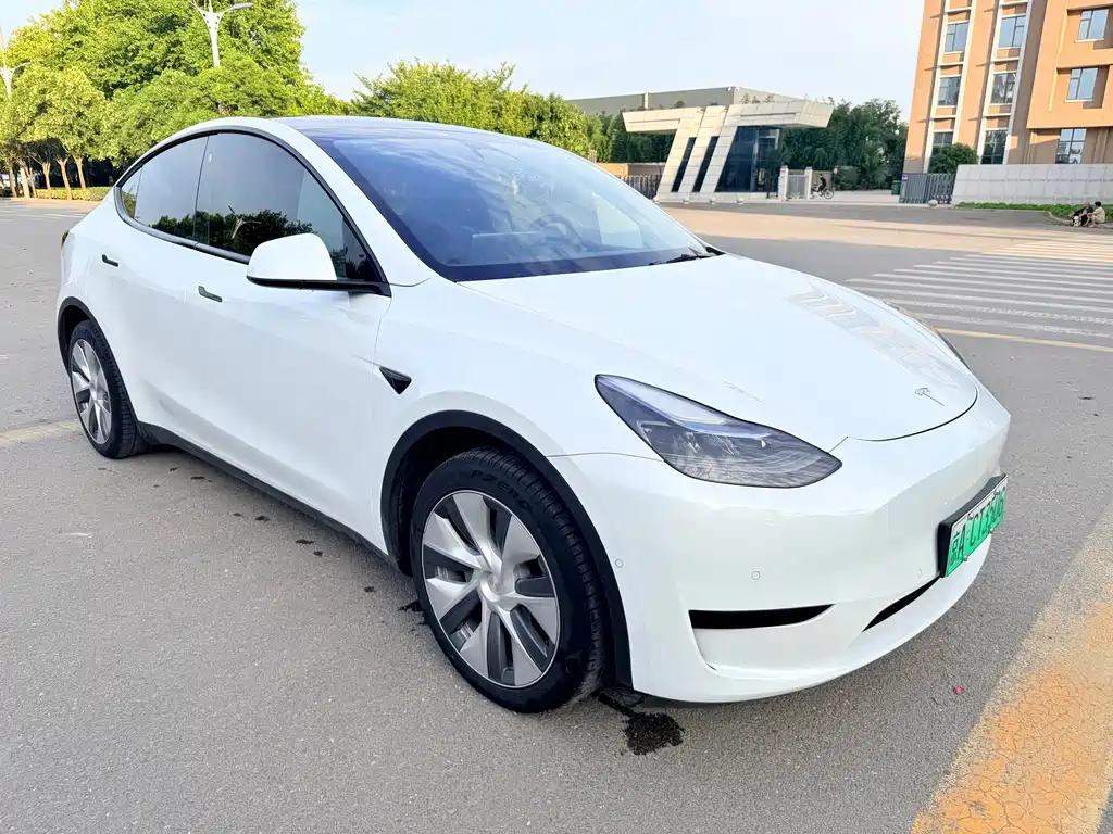 Tesla Model Y — миниатюра 3