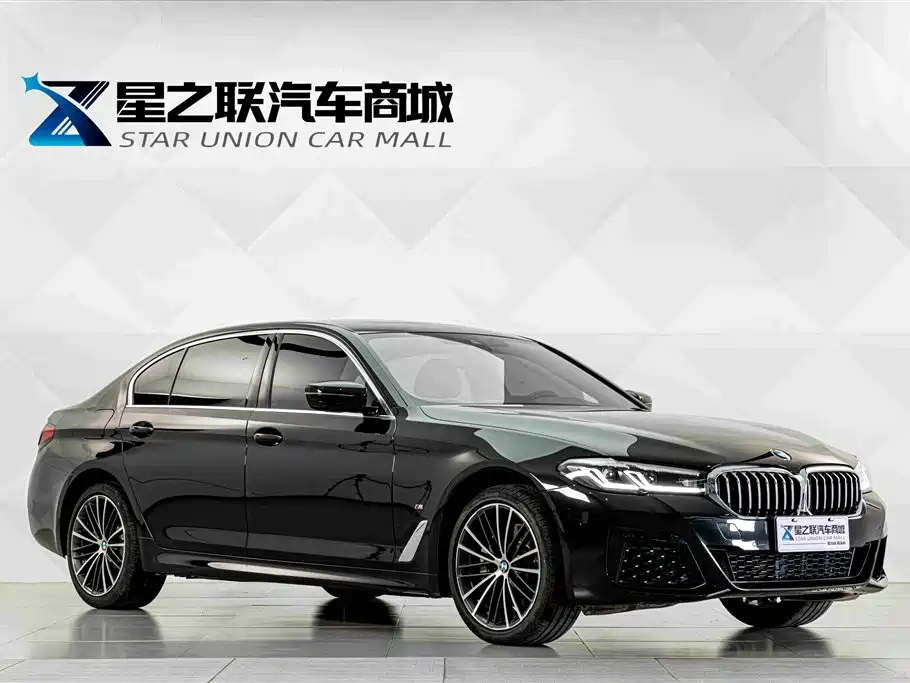 BMW 5 Series — миниатюра 5