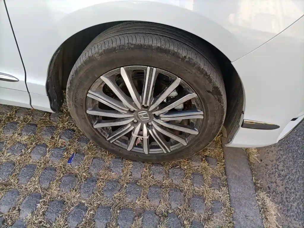 Honda Elysion — миниатюра 24
