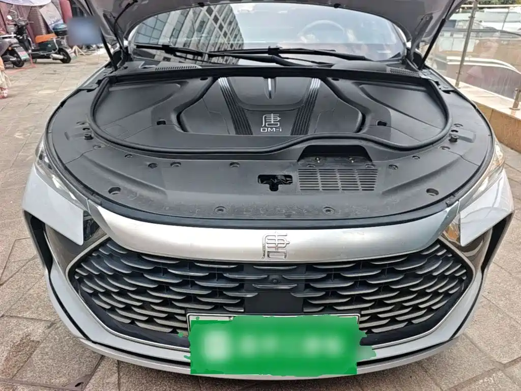 BYD Tang New Energy — миниатюра 20