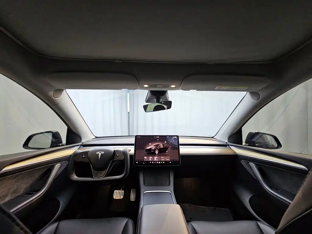 Tesla Model Y — миниатюра 14