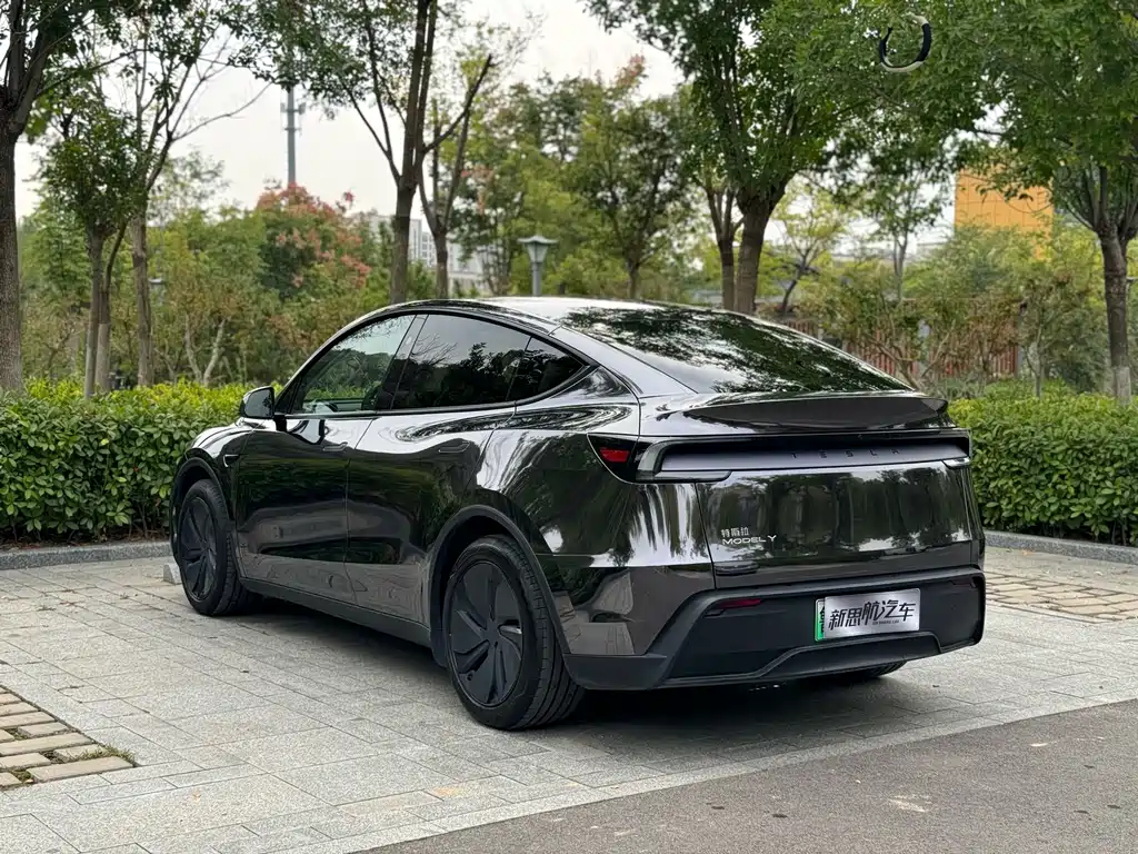 Tesla Model Y — миниатюра 12