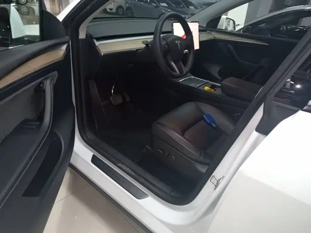 Tesla Model Y — миниатюра 15