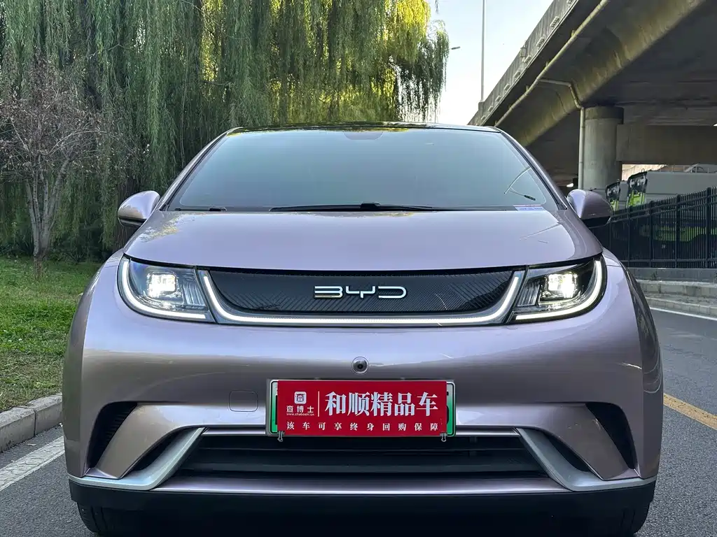 BYD Dolphin — миниатюра 2