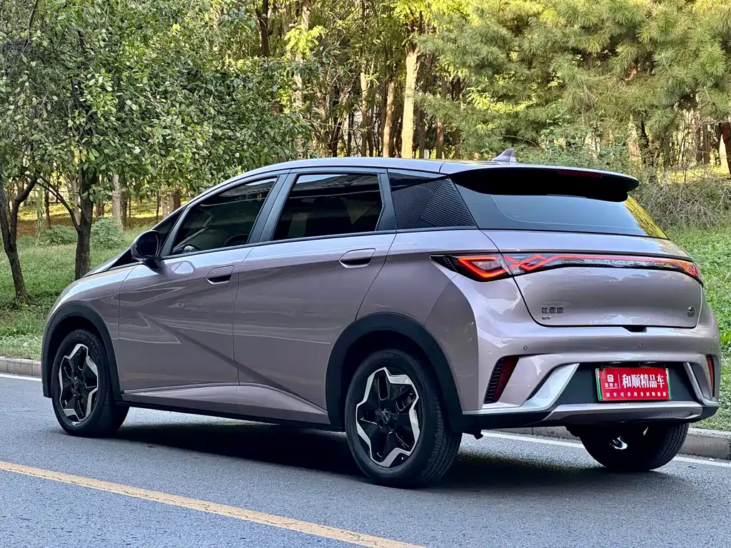 BYD Dolphin — миниатюра 5