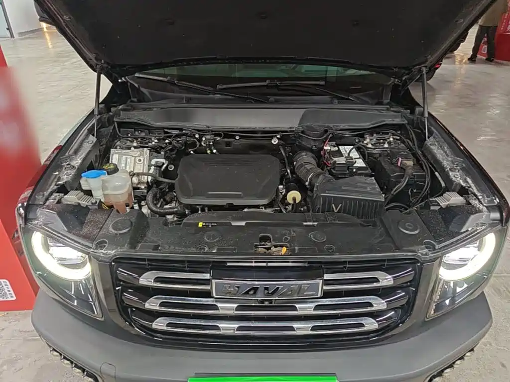Haval Big Dog — миниатюра 20