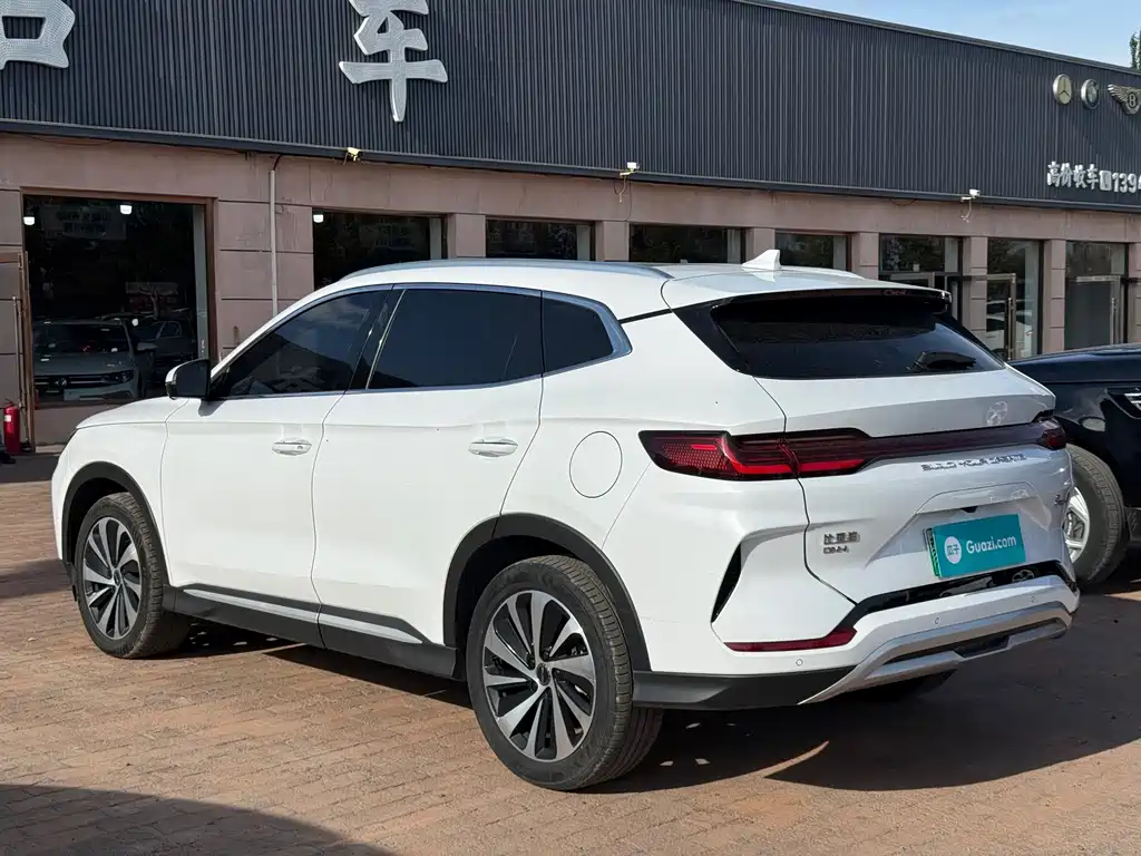 BYD PLUS New Energy — миниатюра 7