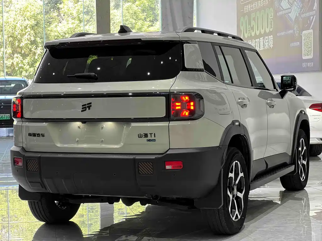 Shanhai Shanhai T1 — миниатюра 5