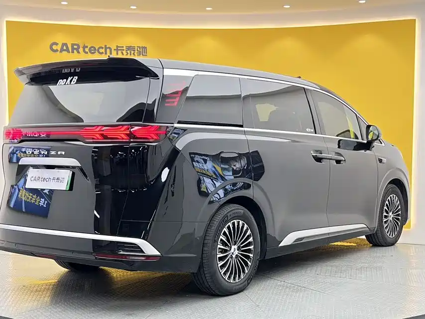 Denza Denza D9 — миниатюра 4