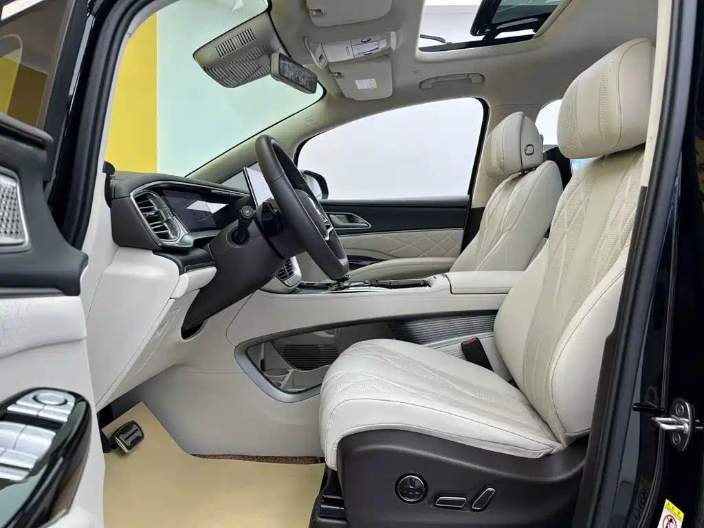 Denza Denza D9 — миниатюра 18