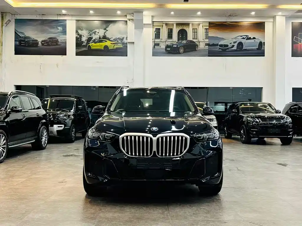 BMW X5 2025 xDrive 30Li Premium M Sport
