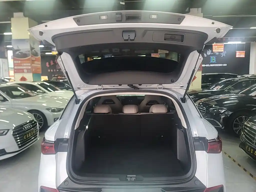 BYD Yuan Plus — миниатюра 19