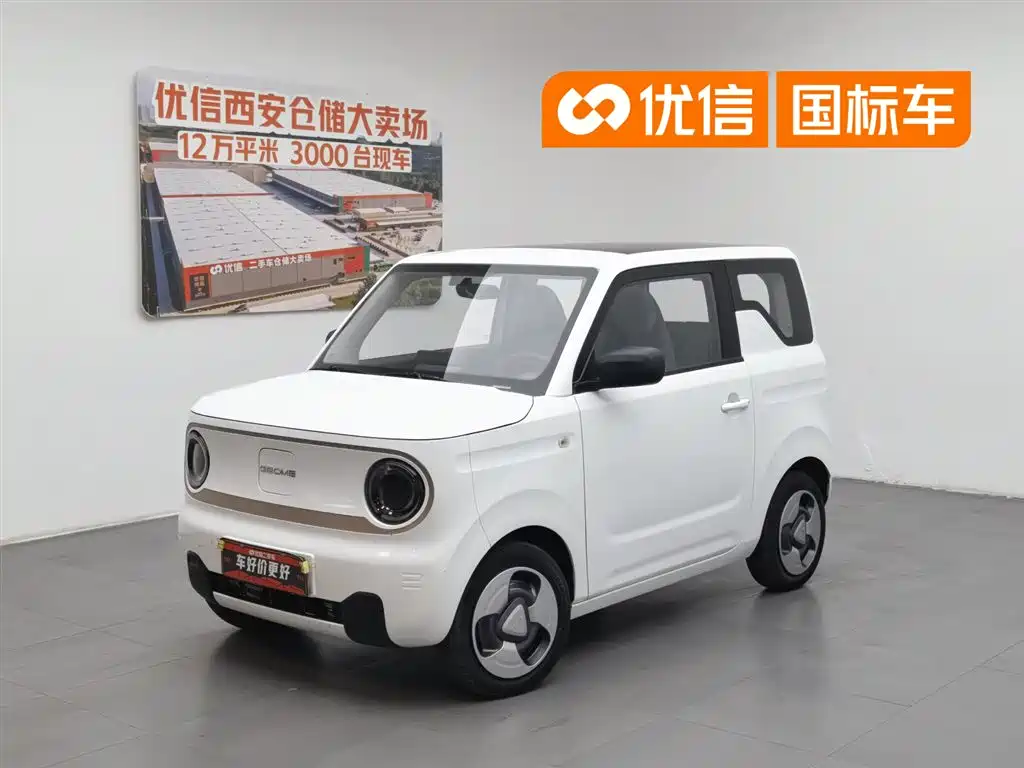 BYD Panda 2023 Panda mini 200km Spirit Dynamic Bear
