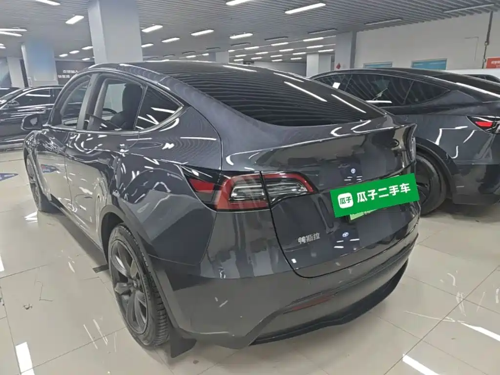 Tesla Model Y — миниатюра 5
