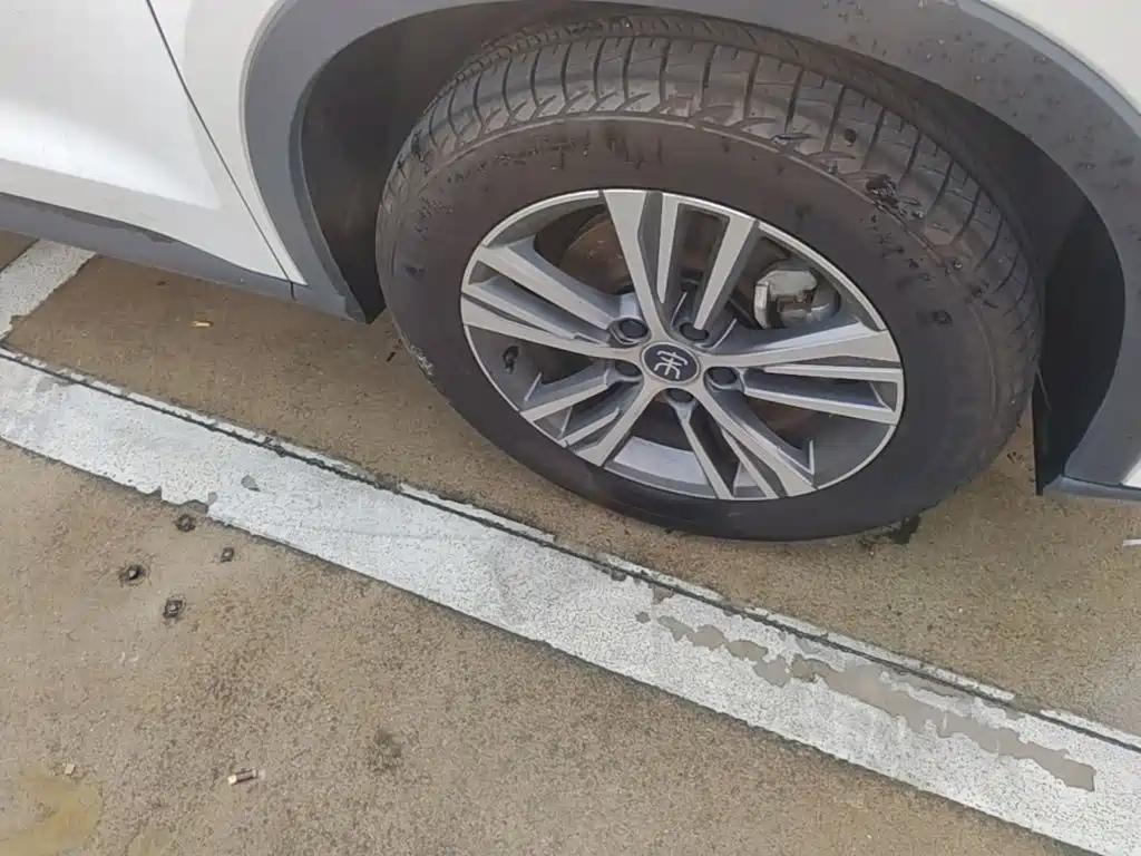 BYD Pro — миниатюра 12