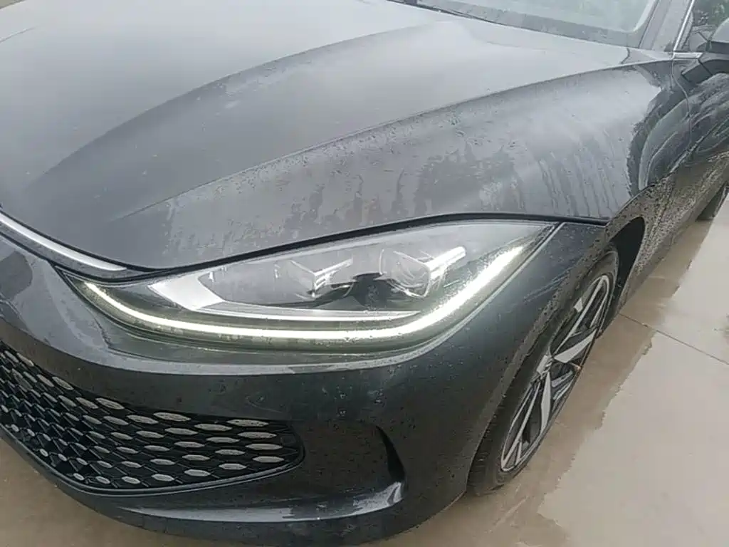 Volkswagen Lamando — миниатюра 24