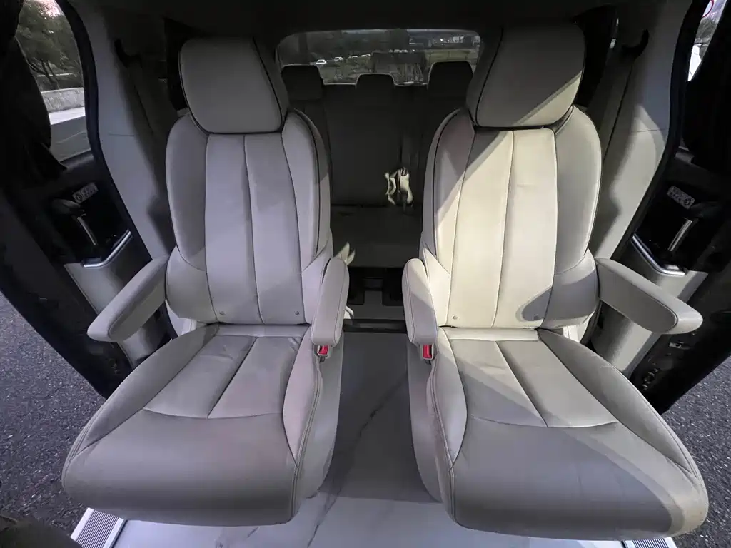 Buick GL8 — миниатюра 18
