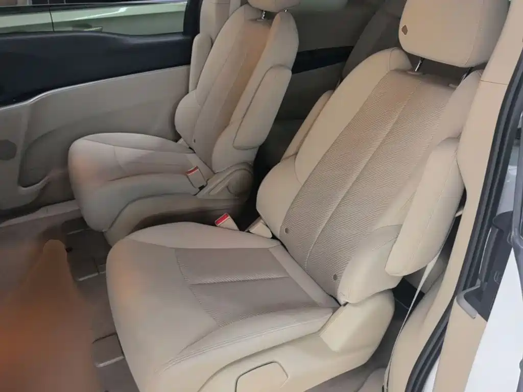 Buick GL8 — миниатюра 17