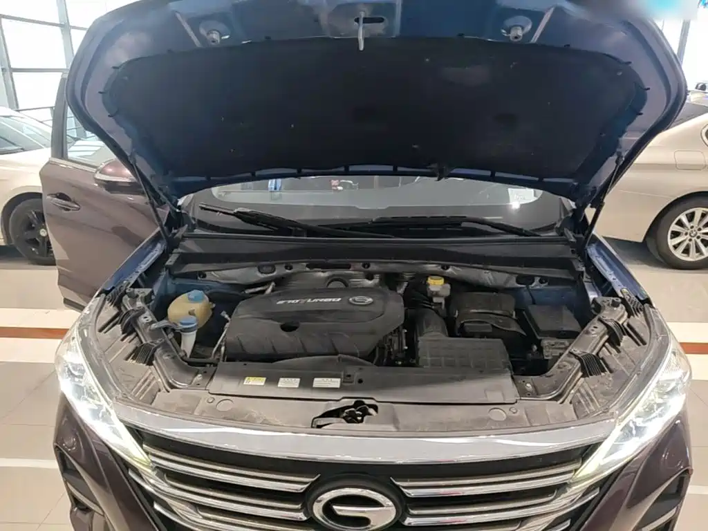 GAC Motor Trumpchi GS5 — миниатюра 20