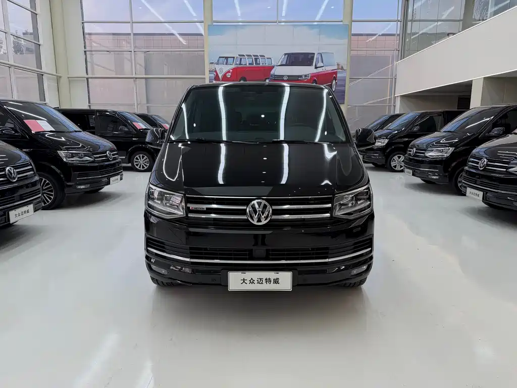 Volkswagen Multivan — миниатюра 2