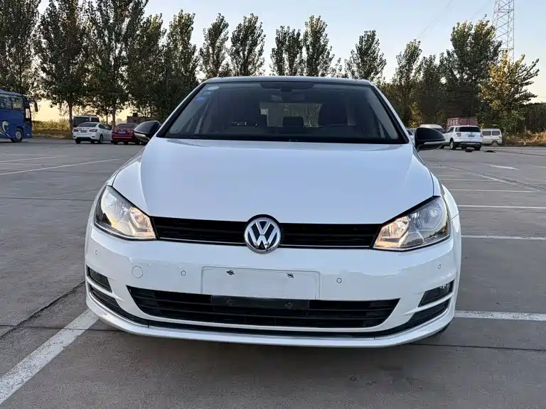 Volkswagen Golf — миниатюра 2