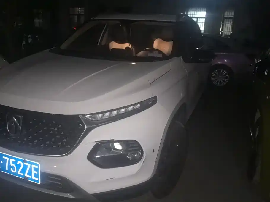 Baojun 510 2019