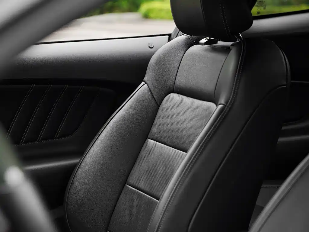 Ford Mustang 2.3T Performance Edition, фото 30