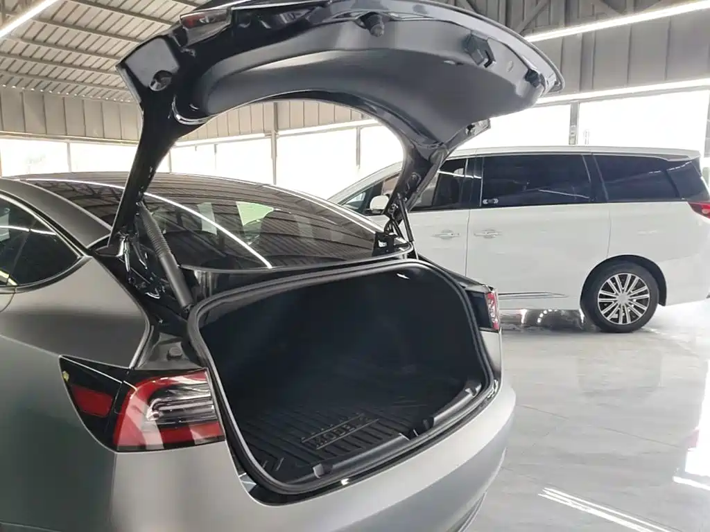 Tesla Model 3 — миниатюра 19