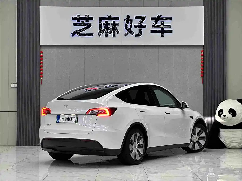 Tesla Model Y — миниатюра 6