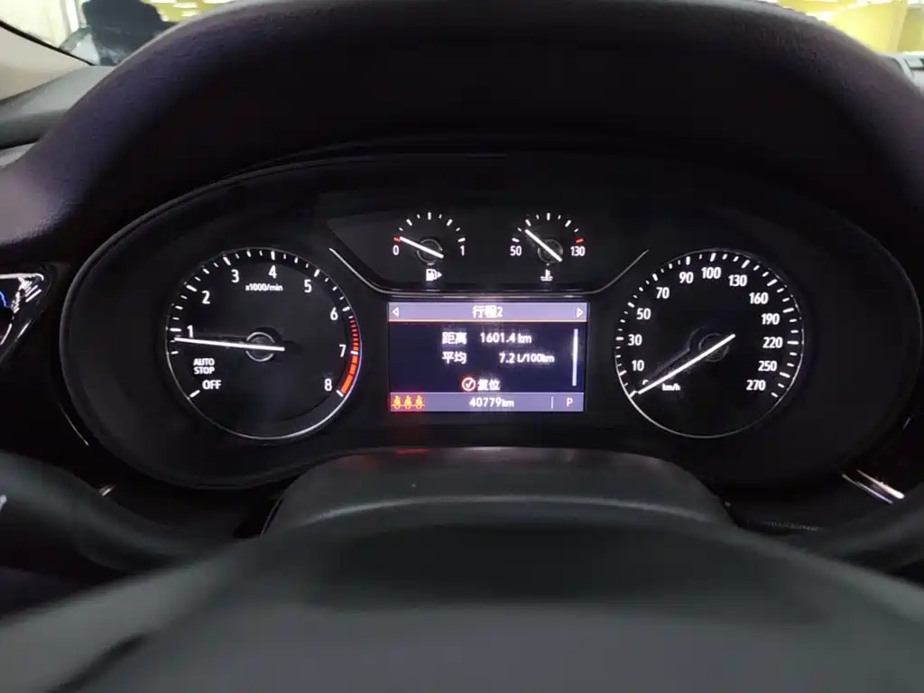 Buick Regal — миниатюра 12