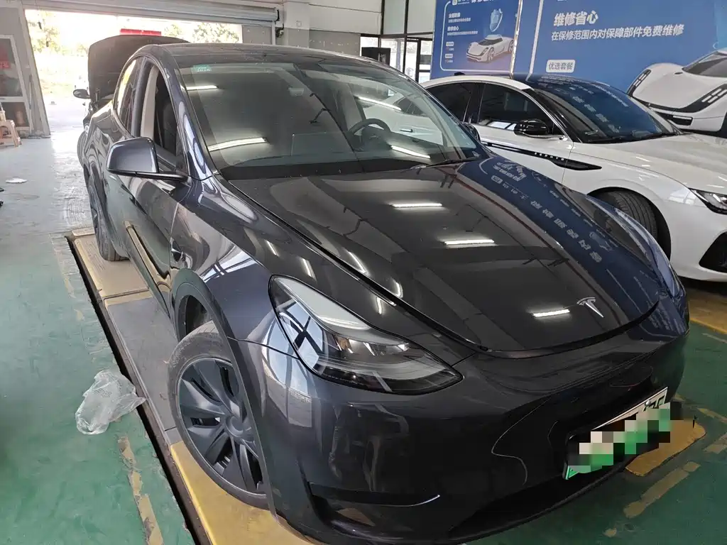 Tesla Model Y — миниатюра 2