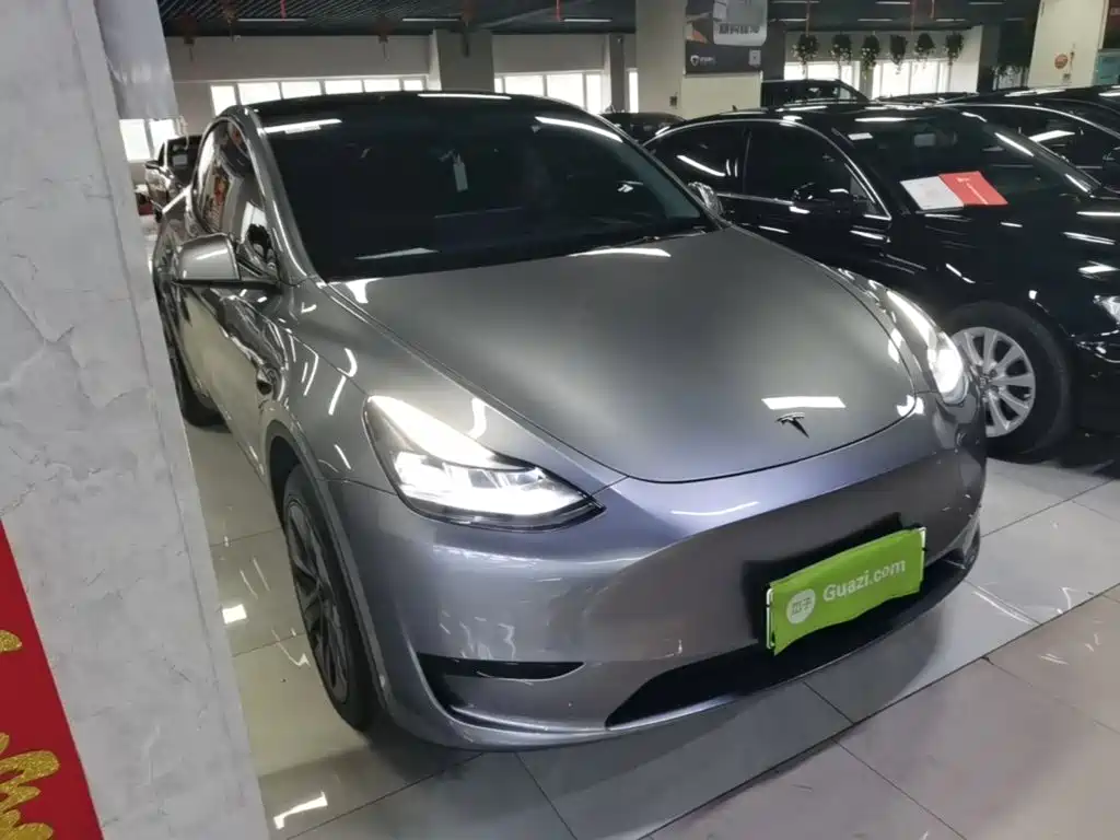 Tesla Model Y — миниатюра 4
