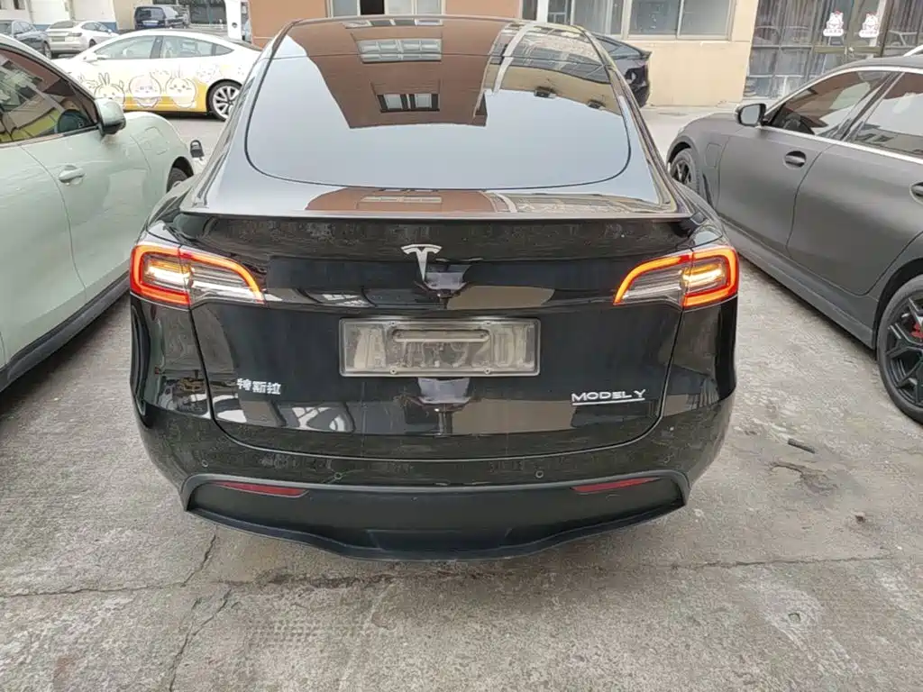 Tesla Model Y — миниатюра 6