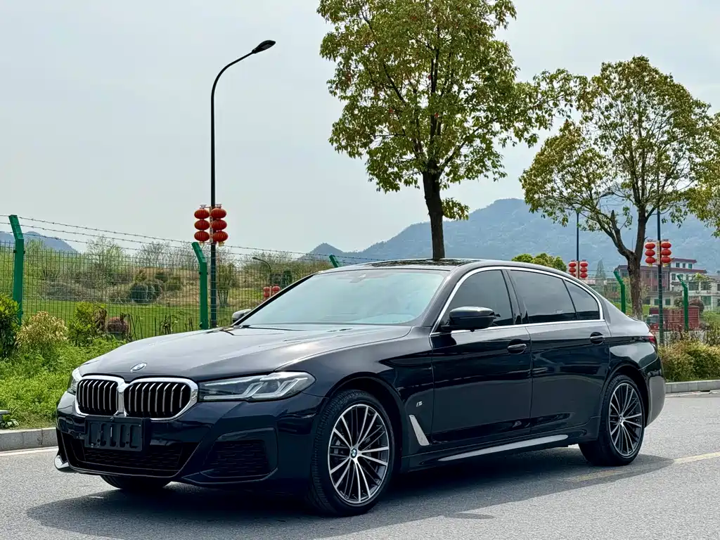 BMW 5 Series 2022