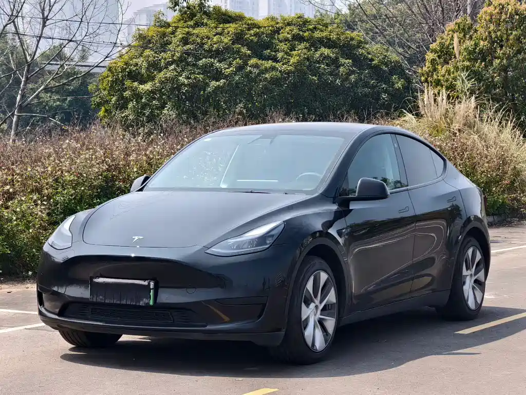 Tesla Model Y 2025