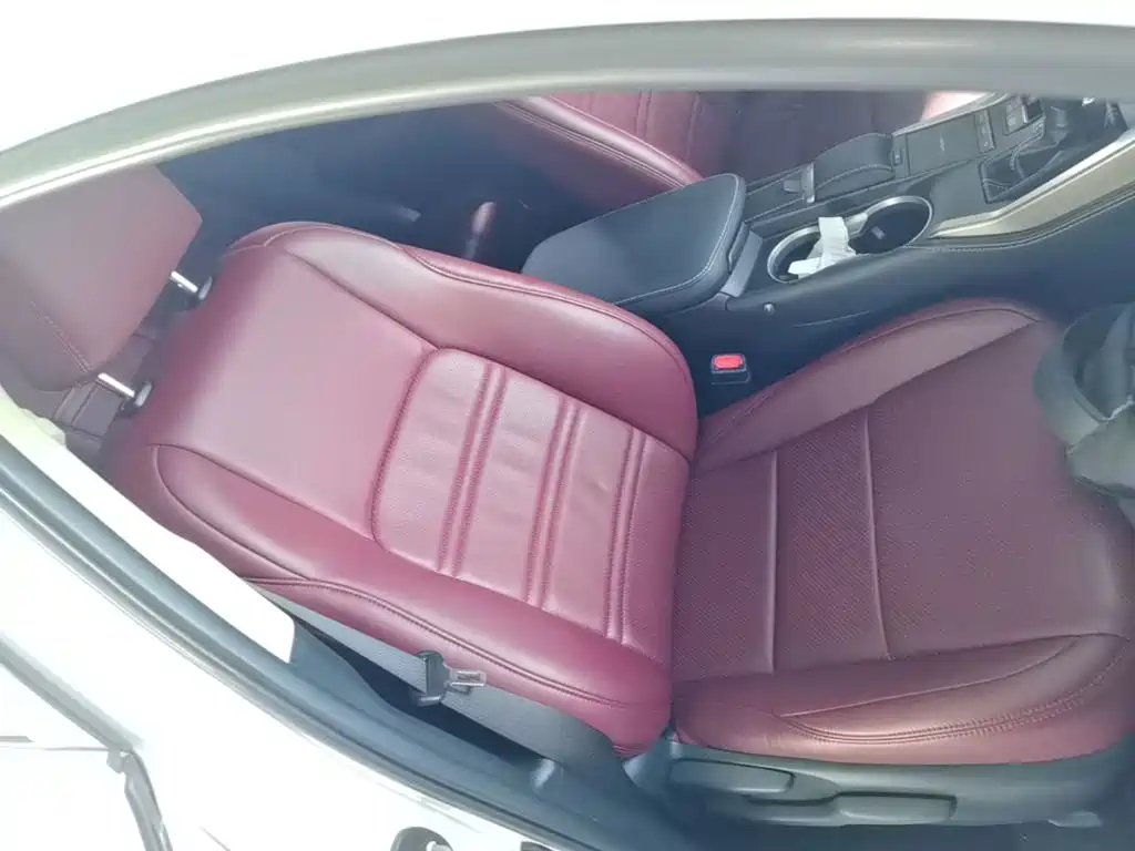 Lexus NX — миниатюра 25
