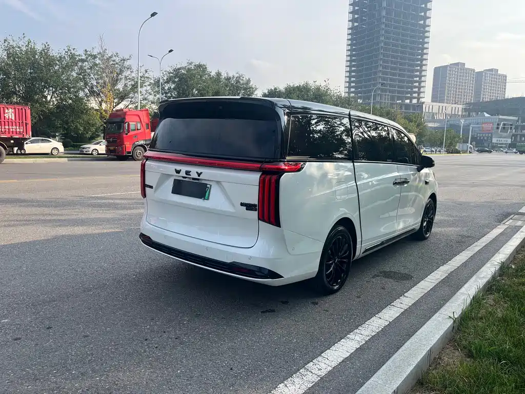 Wey Gaoshan New Energy 4WD High Mountain 8, фото 20