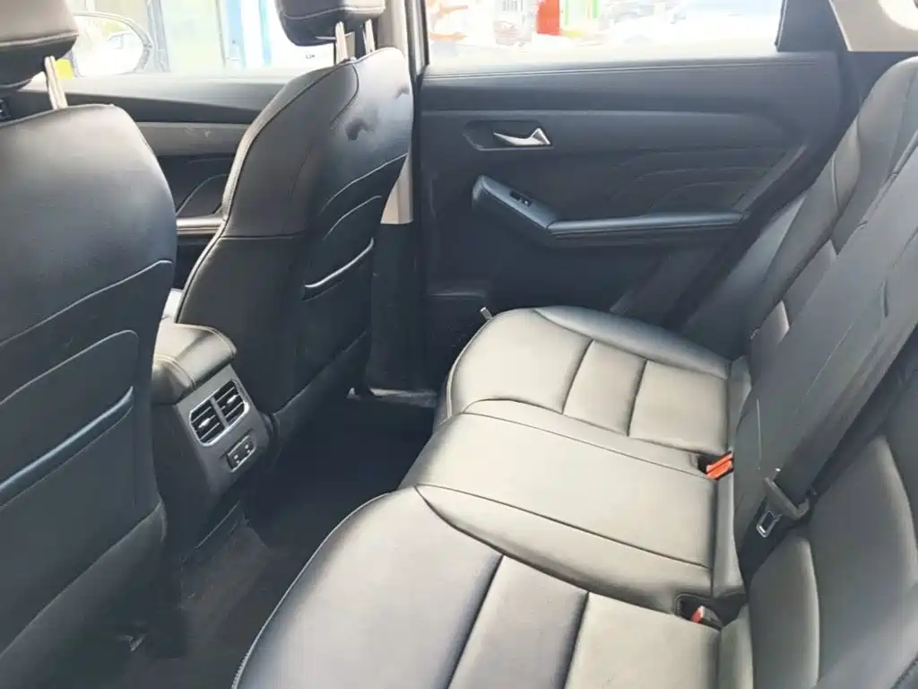 Haval Chitu — миниатюра 17
