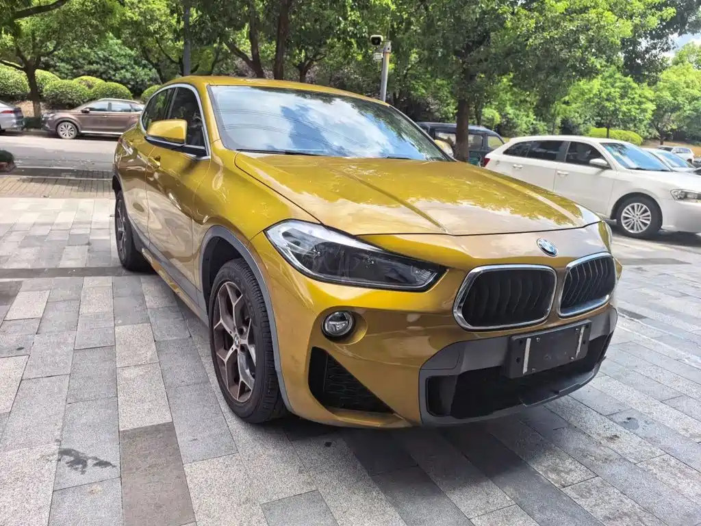 BMW X2 (Import) — миниатюра 8