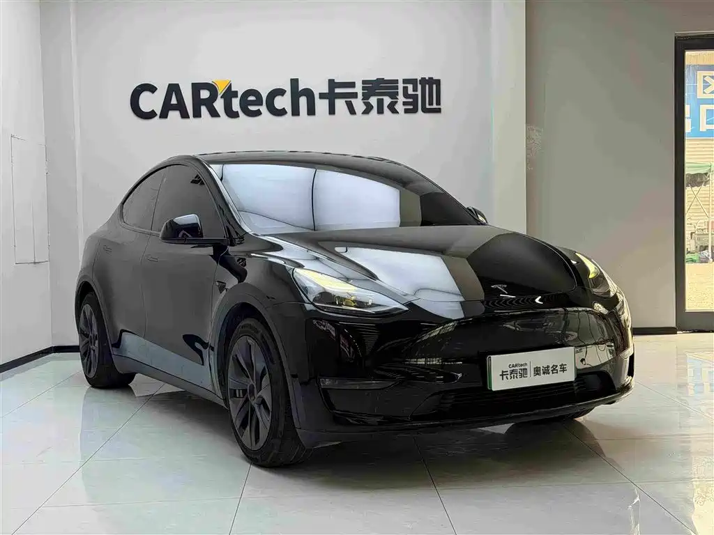 Tesla Model Y — миниатюра 3