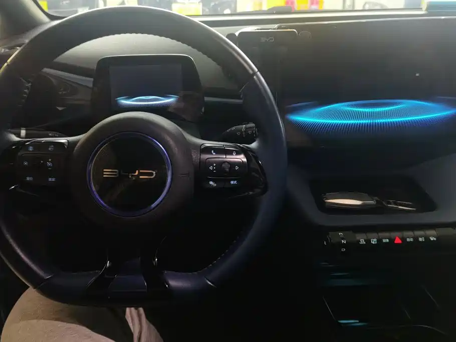 BYD Dolphin — миниатюра 12