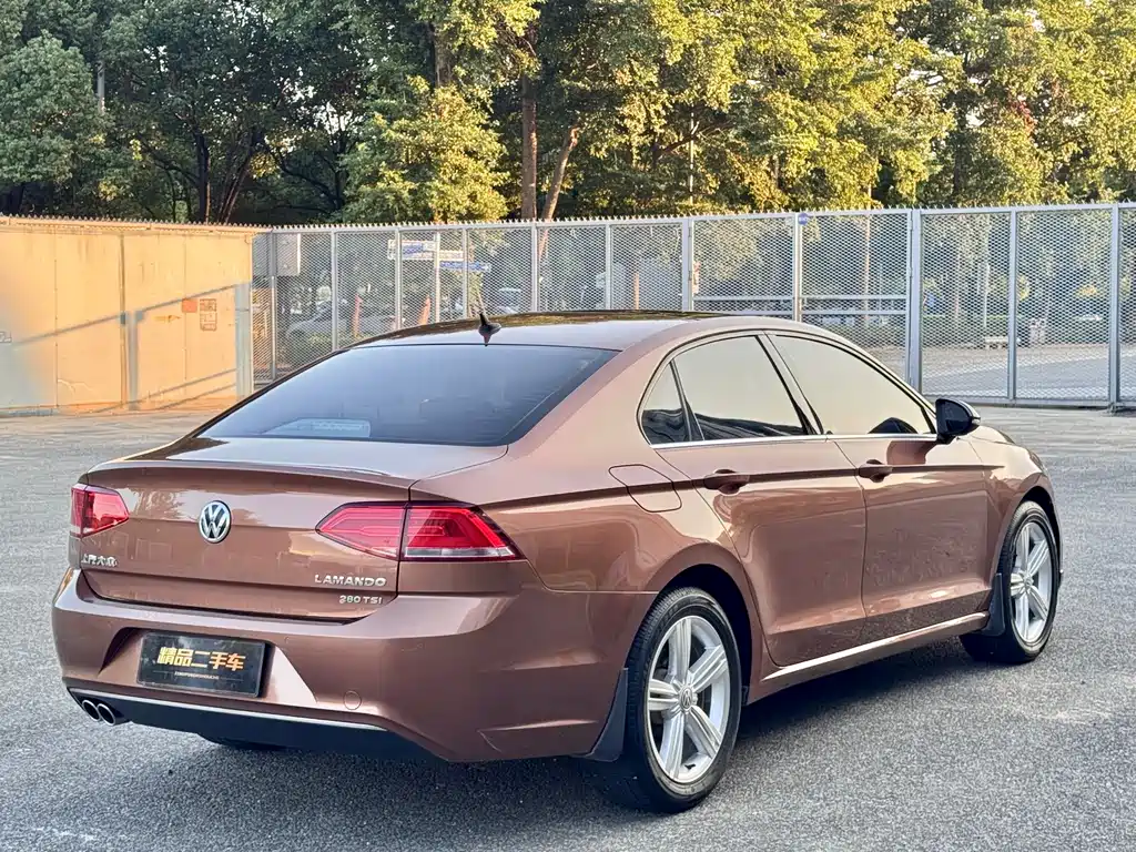 Volkswagen Lamando — миниатюра 19
