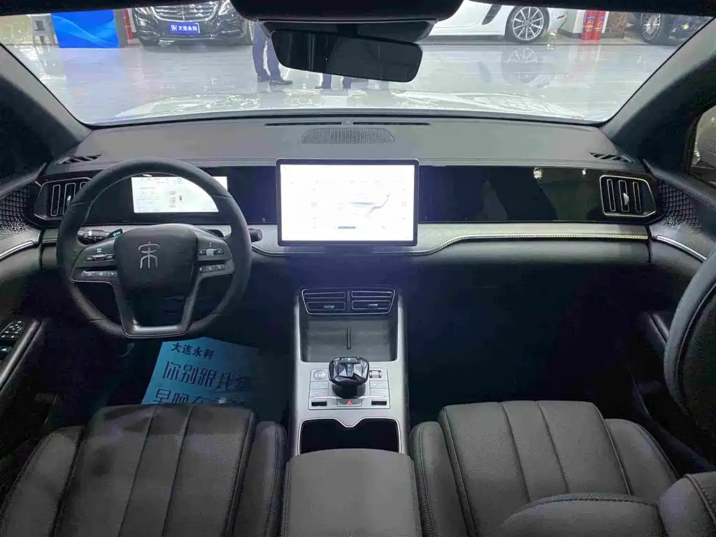BYD Pro New Energy — миниатюра 8