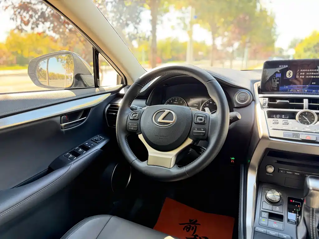 Lexus NX — миниатюра 12
