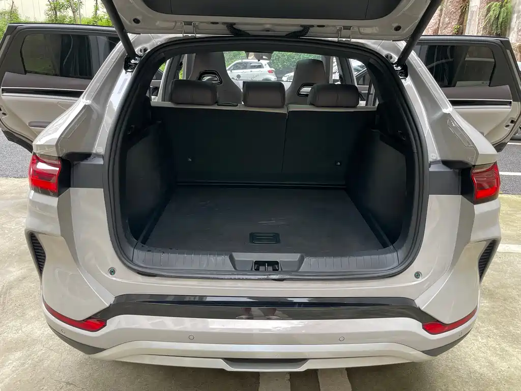 BYD PLUS New Energy - фото 19