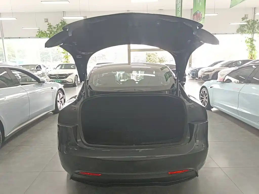 Tesla Model 3 — миниатюра 19
