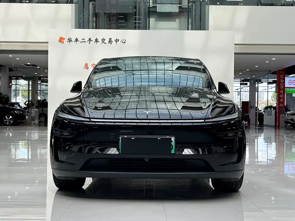 Tesla Model Y — миниатюра 2
