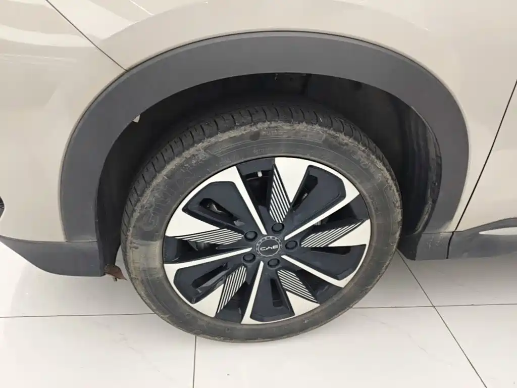 BYD PLUS New Energy — миниатюра 23