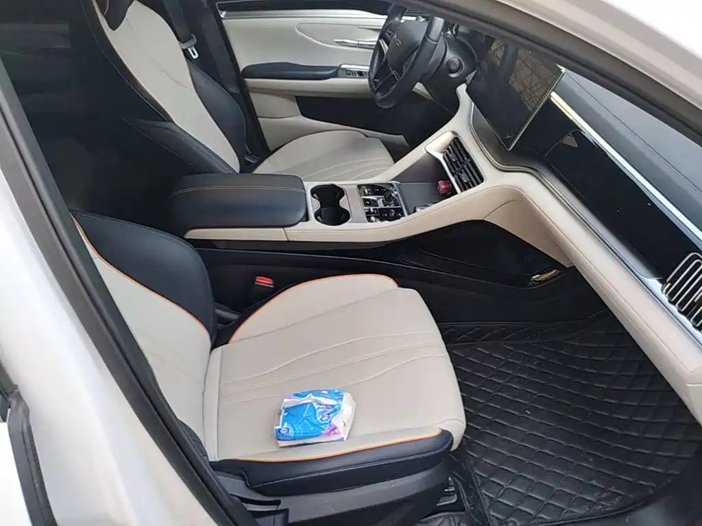 BYD PLUS New Energy — миниатюра 25