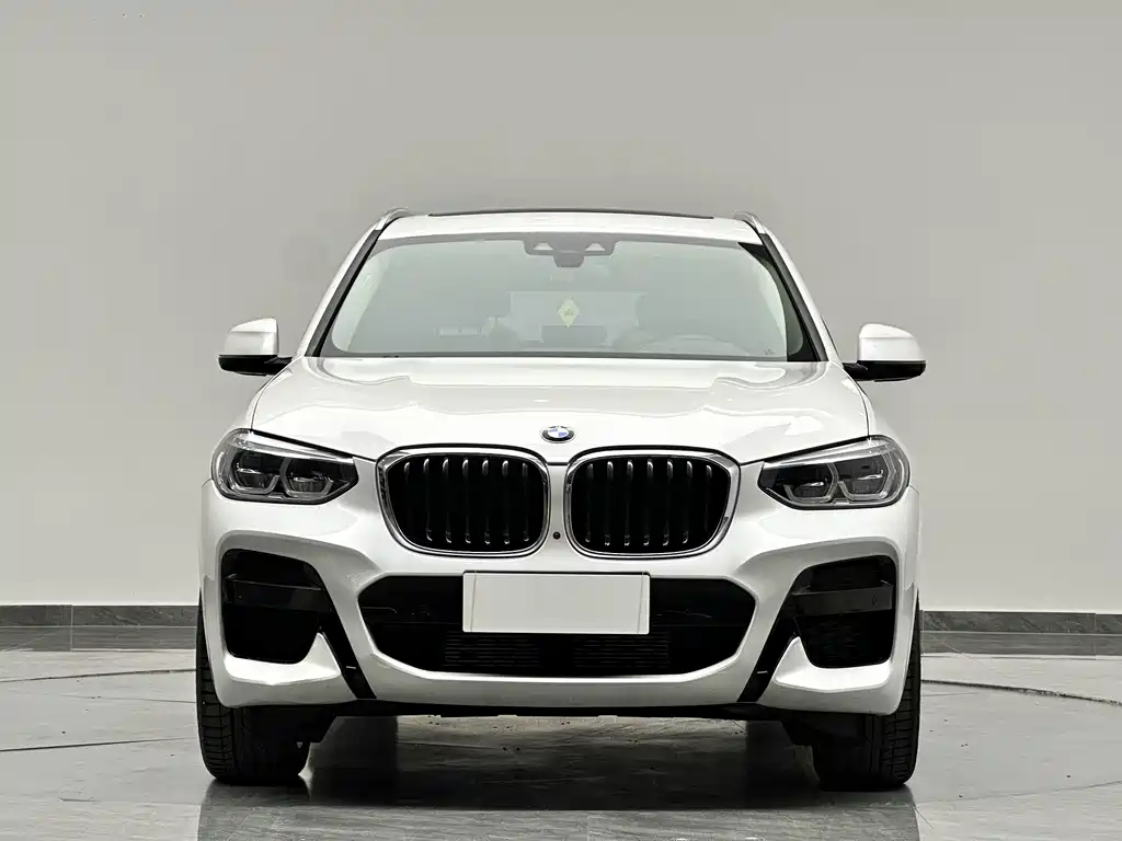 BMW X3 — миниатюра 2